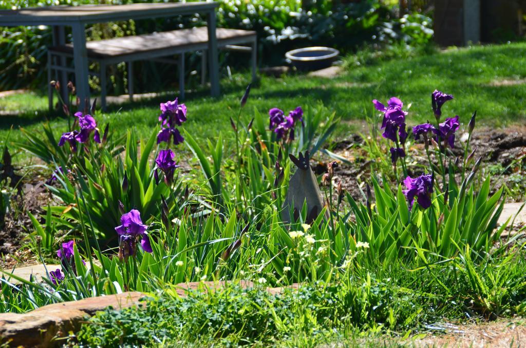 Dairyman'S Cottage Lyndoch Bagian luar foto