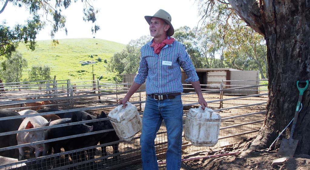 Dairyman'S Cottage Lyndoch Ruang foto