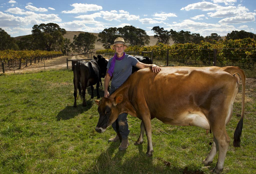 Dairyman'S Cottage Lyndoch Ruang foto