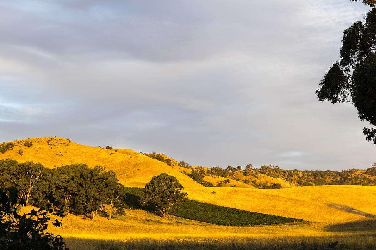 Dairyman'S Cottage Lyndoch Bagian luar foto