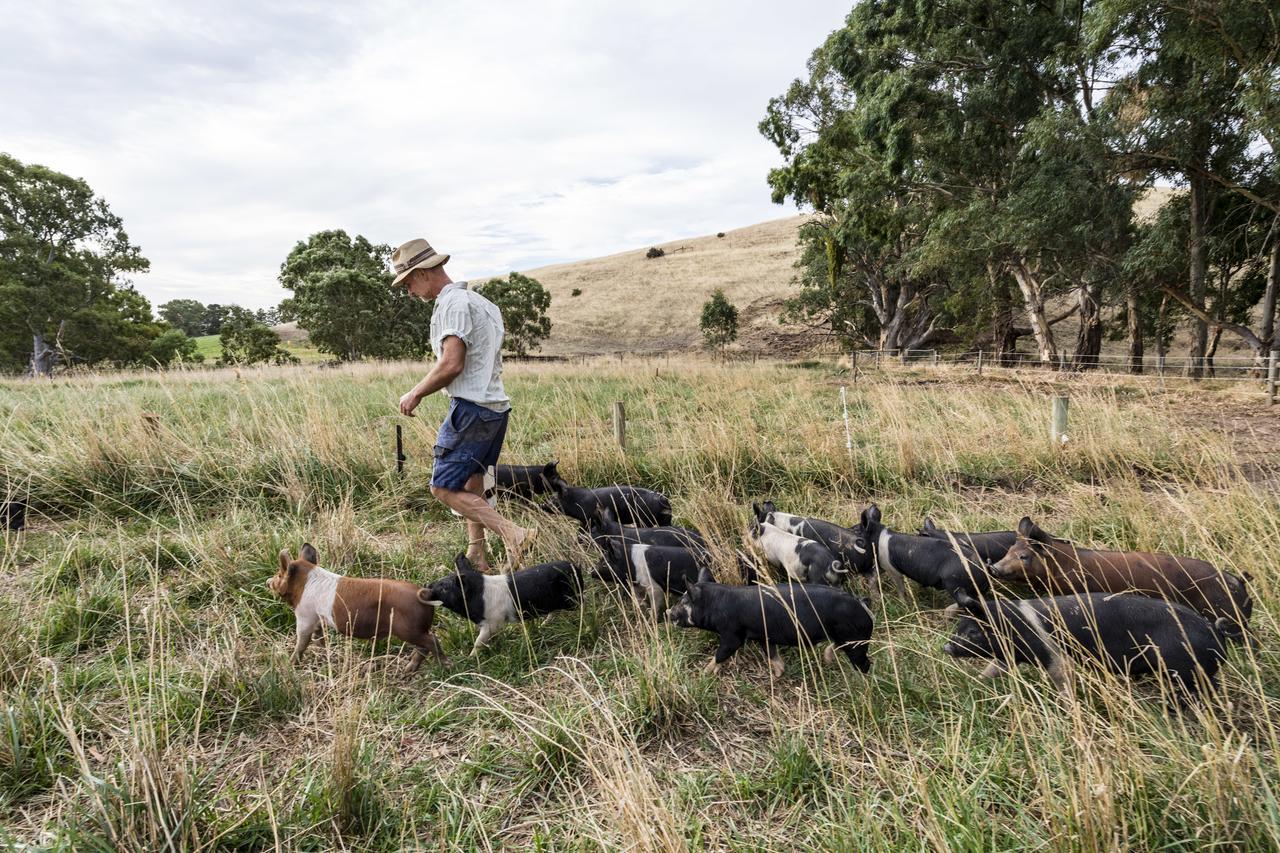 Dairyman'S Cottage Lyndoch Bagian luar foto